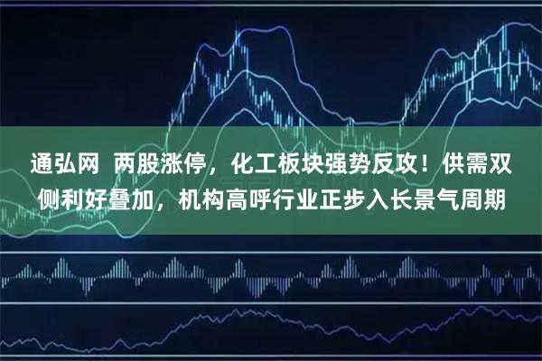 通弘网  两股涨停，化工板块强势反攻！供需双侧利好叠加，机构高呼行业正步入长景气周期